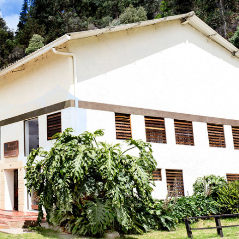 Baños terapéuticos