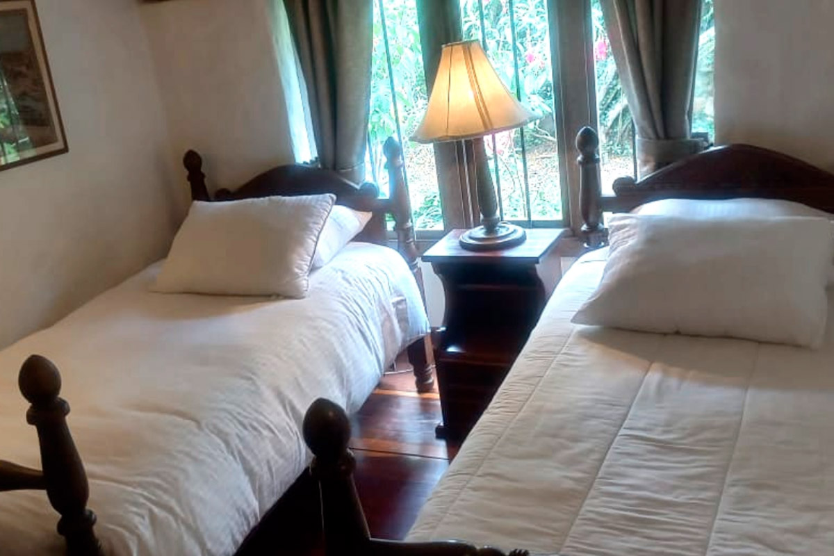 habitacion-pino-omed